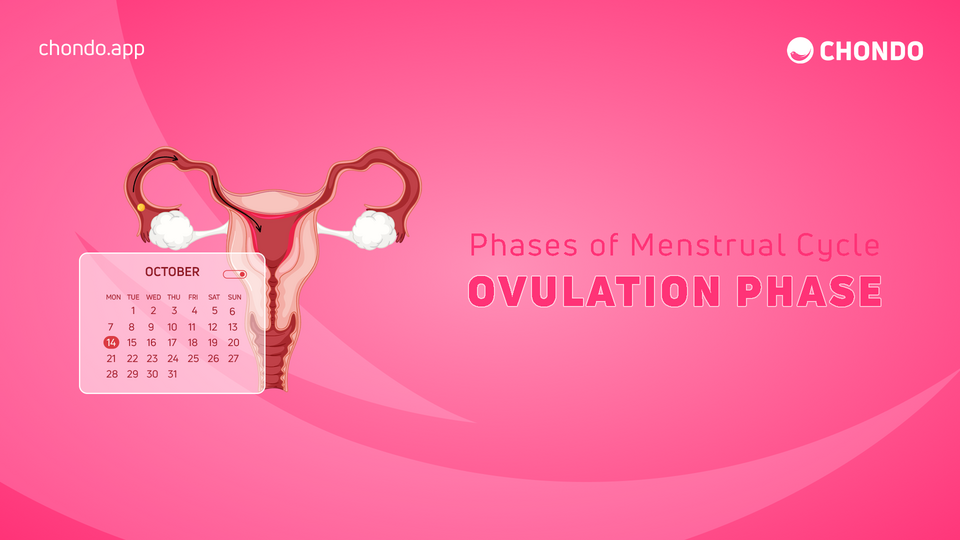 Ovulation Symptoms And Signs How To Know When Youre Ovulating Chondo